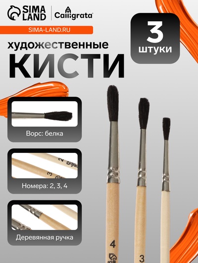 Набор кистей для рисования, белка, 3 штуки: №: 2, 3, 4, Calligrata, круглые, деревянная ручка, в пакете