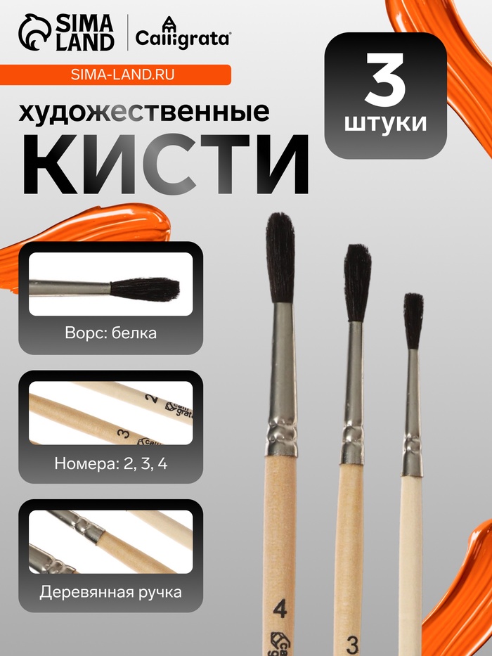 Набор кистей для рисования, белка, 3 штуки: №: 2, 3, 4, Calligrata, круглые, деревянная ручка, в пакете - Фото 1