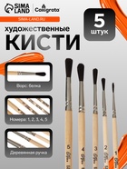 Набор кистей для рисования, белка, 5 штук: №: 1, 2, 3, 4, 5, Calligrata, круглые, деревянная ручка, в пакете - Фото 1