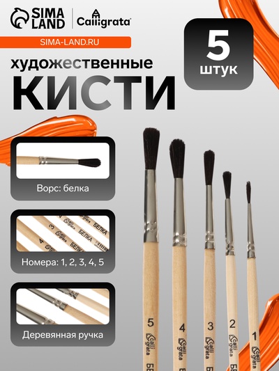 Набор кистей для рисования, белка, 5 штук: №: 1, 2, 3, 4, 5, Calligrata, круглые, деревянная ручка, в пакете