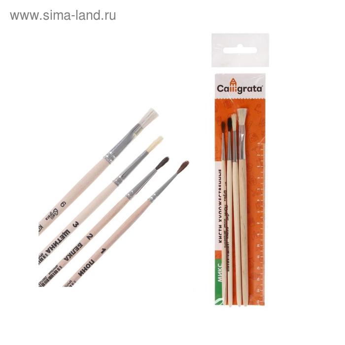 Набор кистей для рисования, пони, белка, щетина, коза, 4 штуки: №1, 2, 3 (круглые), № 6 (плоская), Calligrata, круглые, плоская, деревянная ручка - Фото 1