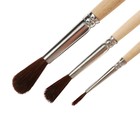 Набор кистей для рисования, пони, 3 штуки: №: 1, 3, 5, Calligrata, круглые, деревянная ручка, в пакете - Фото 5
