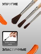 Набор кистей для рисования, пони, 3 штуки: № 2, 3, 4, Calligrata, круглые, деревянная ручка, в пакете - Фото 2