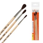 Набор кистей для рисования, пони, 3 штуки: № 2, 3, 4, Calligrata, круглые, деревянная ручка, в пакете - Фото 3