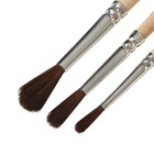 Набор кистей для рисования, пони, 3 штуки: № 2, 3, 4, Calligrata, круглые, деревянная ручка, в пакете - Фото 5