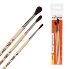 Набор кистей для рисования, пони, 3 штуки: № 2, 3, 4, Calligrata, круглые, деревянная ручка, в пакете - Фото 6