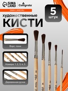 Набор кистей для рисования, пони, 5 штук: №: 1, 2, 3, 4, 5, Calligrata, круглые, деревянная ручка, в пенале - Фото 1