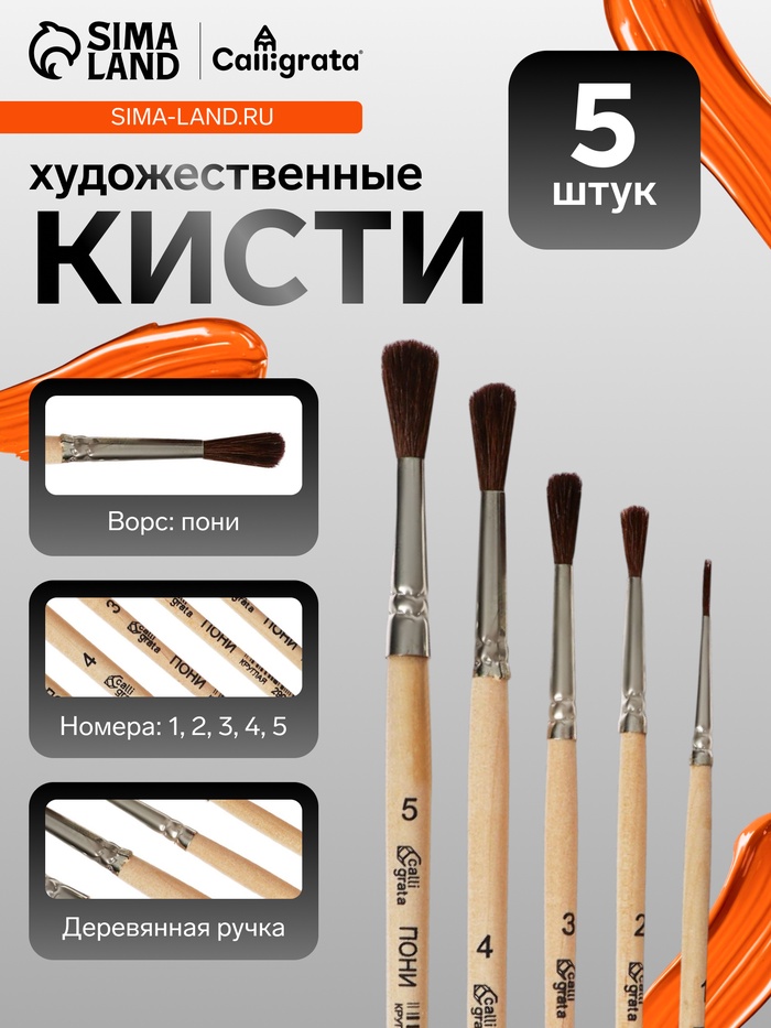 Набор кистей для рисования, пони, 5 штук: №: 1, 2, 3, 4, 5, Calligrata, круглые, деревянная ручка, в пенале - Фото 1