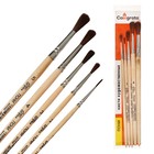 Набор кистей для рисования, пони, 5 штук: №: 1, 2, 3, 4, 5, Calligrata, круглые, деревянная ручка, в пенале - Фото 3