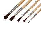 Набор кистей для рисования, пони, 5 штук: №: 1, 2, 3, 4, 5, Calligrata, круглые, деревянная ручка, в пенале - Фото 5