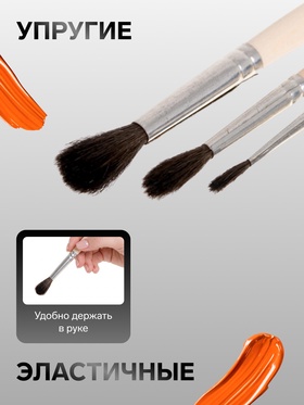 Набор кистей Белка 3 штуки, Calligrata №1 (круглые №: 1, 3, 5), деревянная ручка, в пенале