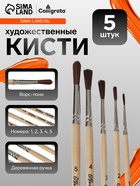 Набор кистей для рисования, пони, 5 штук: № 1, 2, 3, 4, 5, Calligrata, круглые, деревянная ручка, в пакете - Фото 1