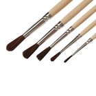 Набор кистей для рисования, пони, 5 штук: № 1, 2, 3, 4, 5, Calligrata, круглые, деревянная ручка, в пакете - Фото 5