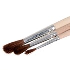 Набор кистей Пони 3 штуки, Calligrata №1 (круглые №: 1, 3, 5), деревянная ручка, в пенале - Фото 2