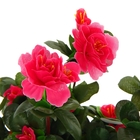 букет 40 см азалия - Фото 3