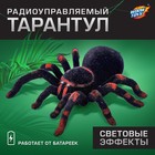 Паук радиоуправляемый «Тарантул», работает от батареек, световые эффекты - фото 8841894