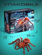 Паук радиоуправляемый «Тарантул», работает от батареек, световые эффекты - Фото 4