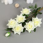 Цветы искусственные «Роза Компэшн», 11×59 см, белые - фото 42715998