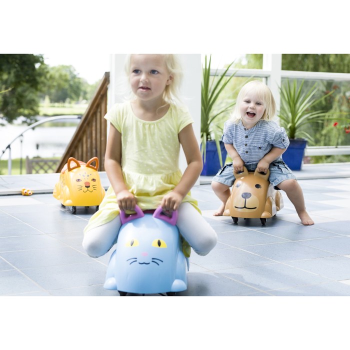 Транспортная игрушка «Кошка» 45323