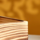 Подарочный ящик «Элегант», 24×14×9 см, цвет обожжённое дерево - Фото 3