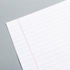 Тетрадь в линейку 12 листов, 5 видов МИКС, обложка мелованный картон, «Щенячий патруль» 4418426