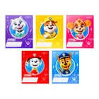 Тетрадь в клетку 12 листов, 5 видов МИКС, обложка мелованный картон, «Щенячий патруль» - Фото 3