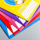 Тетрадь в клетку 12 листов, 5 видов МИКС, обложка мелованный картон, «Щенячий патруль» - Фото 4