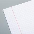 Тетрадь в клетку 12 листов, 5 видов МИКС, обложка мелованный картон, «Щенячий патруль» - Фото 2