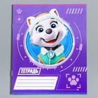 Тетрадь в клетку 12 листов, 5 видов МИКС, обложка мелованный картон, «Щенячий патруль» - Фото 6