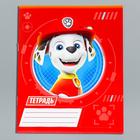 Тетрадь в клетку 12 листов, 5 видов МИКС, обложка мелованный картон, «Щенячий патруль» - Фото 9