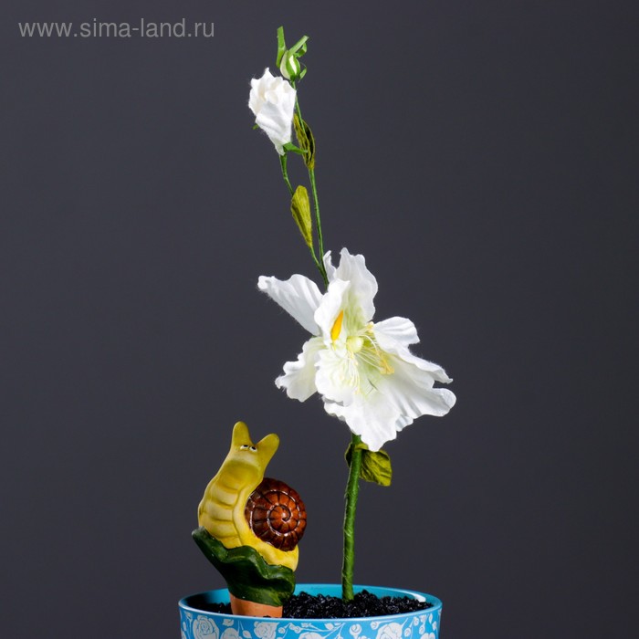 Ороситель для домашних растений "Улитка" микс 4 вида - Фото 1