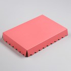 Коробочка для печенья с PVC крышкой, коралловый, 22 х 15 х 3 см - Фото 2