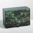 Складная коробка «Зимняя сказка», 22 × 15 × 10 см - Фото 2