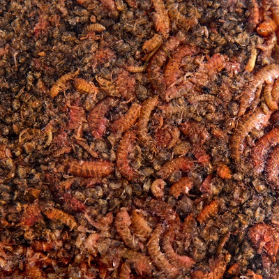 Корм для рыб Barrom «Рачки» (дафния/гаммарус), 15 г
