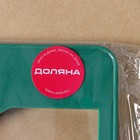 Форма для вырезания печенья Доляна «Пряничный домик», 28×19 см, цвет зелёный - фото 4617065