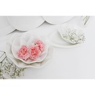 Салатник Magistro «Изобилие», 260 мл, d=15 см, фарфор, белый - Фото 6