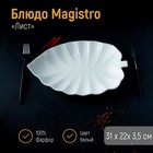 Блюдо фарфоровое Magistro «Лист», 30×21 см, цвет белый - фото 990492