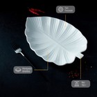 Блюдо Magistro «Лист Бланш», 31×22×3.5 см, фарфор, белое - Фото 2