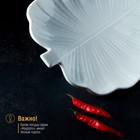 Блюдо Magistro «Лист Бланш», 31×22×3.5 см, фарфор, белое - Фото 4