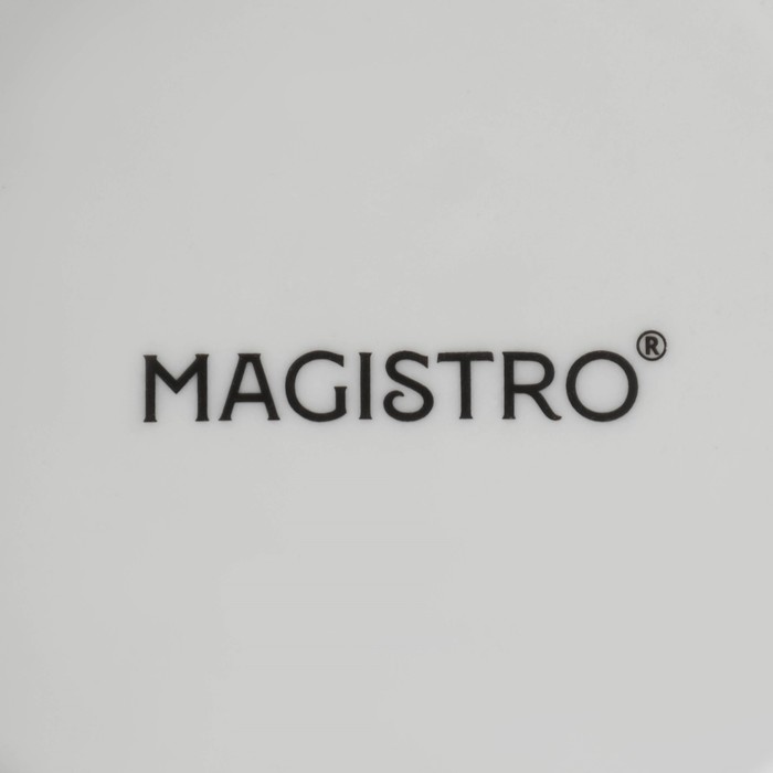Чайник фарфоровый заварочный Magistro «Бланш», 1 л, цвет белый - фото 1905568227