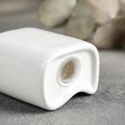 Набор для специй Magistro «Бланш», солонка 65 мл, перечница 60 мл, ёмкость для зубочисток, на подставке, фарфор, белый - Фото 3