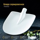 Блюдо фарфоровое Magistro «Лопатка», 24×18 см, цвет белый - Фото 1