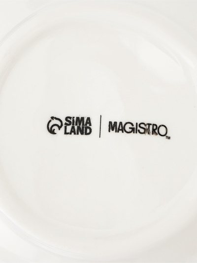 Заварочный чайник Magistro «Бланш», 500 мл, фарфор, белый