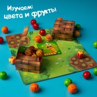 Настольная развивающая игра «Весёлый огород», сортировка - Фото 3