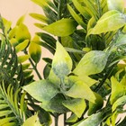 Букет "Тропические листья" 28 см, микс - Фото 2