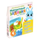 Обучающая игра с магнитной ручкой «Магнитные задания на логику», по методике Монтессори - Фото 7