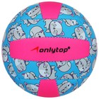 Мяч волейбольный ONLYTOP «Кошечка», ПВХ, машинная сшивка, 18 панелей, р. 2 - фото 3836873