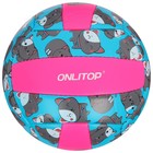 Мяч волейбольный ONLYTOP «Кошечка», ПВХ, машинная сшивка, 18 панелей, р. 2 - фото 8475174