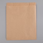 Пакет бумажный фасовочный, крафт, V-образное дно 25 х 20 х 9 см, - фото 318212122