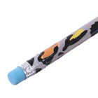 Карандаш чернографитный с ластиком «Леопард», твёрдость НВ - Фото 4